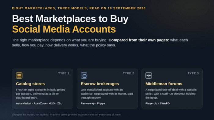 Best Marketplaces to Buy Social Media Accounts: AccsMarket, AccsZone, Fameswap, Flippa, G2G, PlayerUp, SWAPD and Z2U Compared