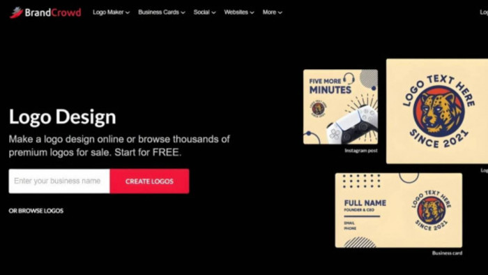 BrandCrowd Review: From Zero to Brand Hero